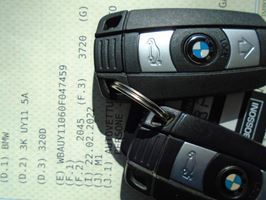 BMW 320,Touran 046